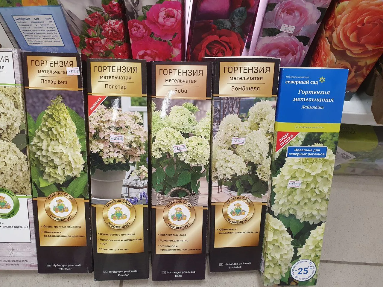 🌼 Знаете ли вы, что гортензии могут похвастаться историей, уходящей корнями в эпоху динозавров? 🦖 Эт