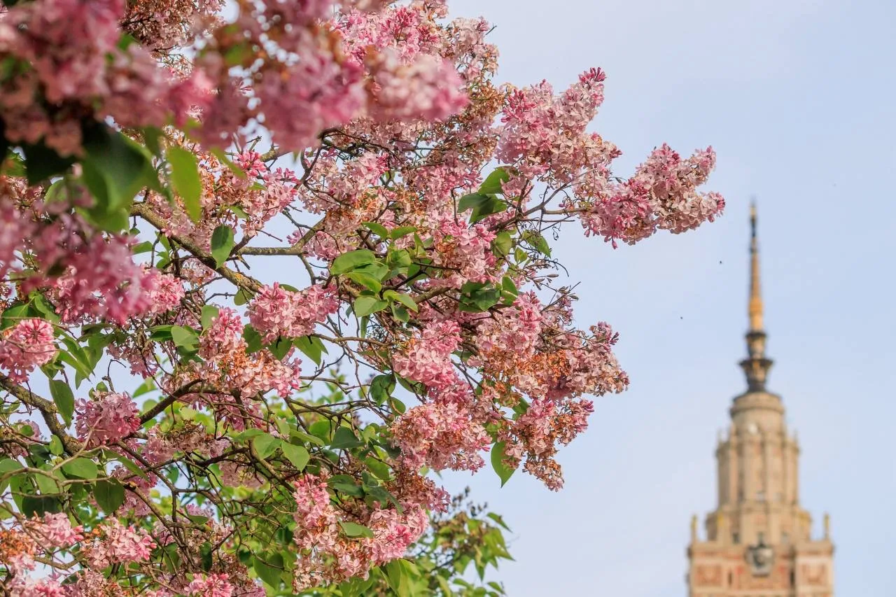 🌱 ЭКСКУРСИИ В БОТАНИЧЕСКОМ САДУ ☘️
