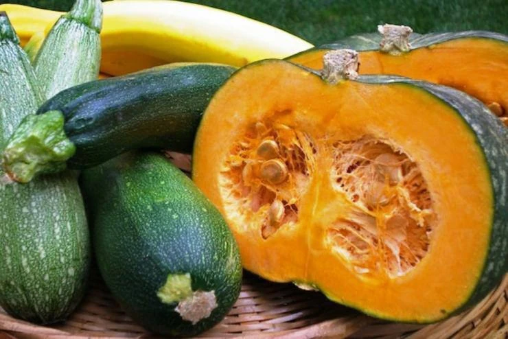 🥒 Чем подкормить кабачки и тыкву летом?