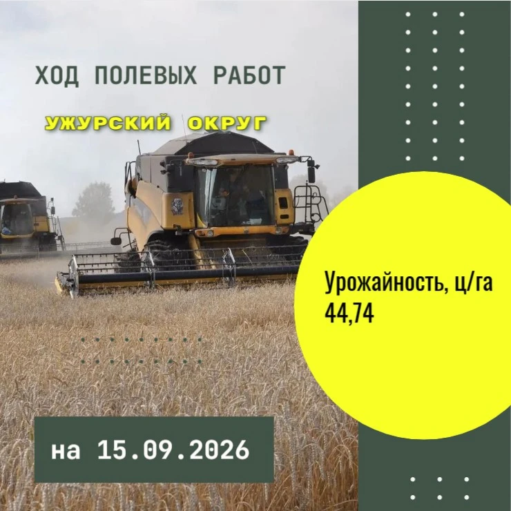 🔻Ход уборки зерновых и зернобобовых в Ужурском муниципальном округе