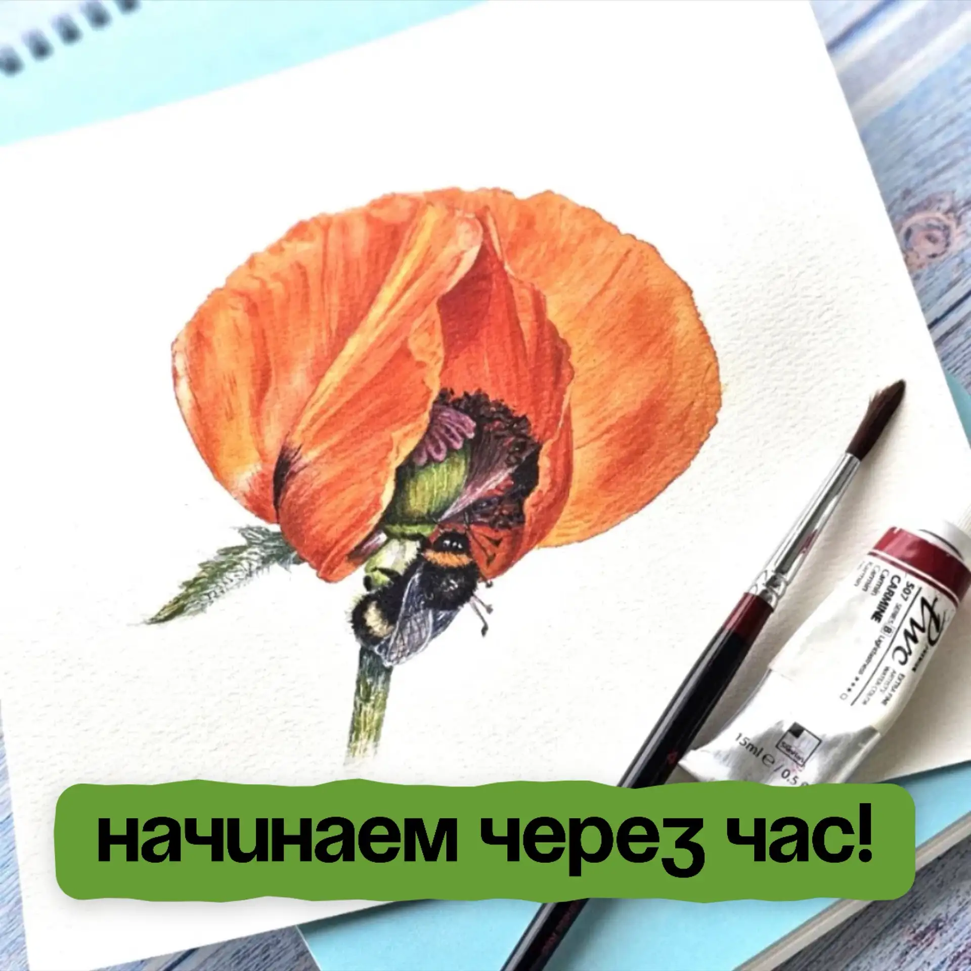 Начинаем через час!
