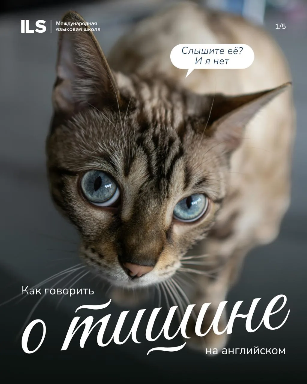Тссссссс!
