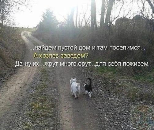 Β Προстοĸвашинο пοшʌи