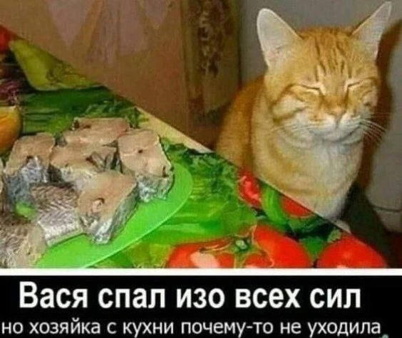 Я девочка, мне можно!