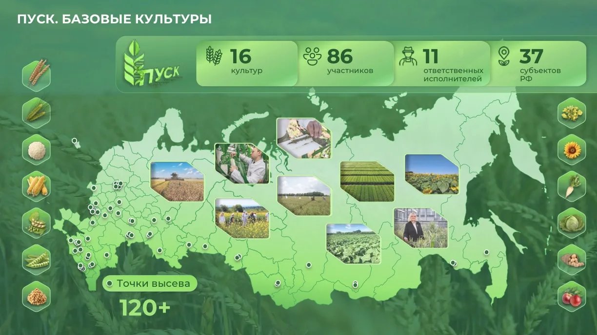 ☀️ «ПУСК». ПРЕДПОСЫЛКИ. Проект устремленный в будущее.