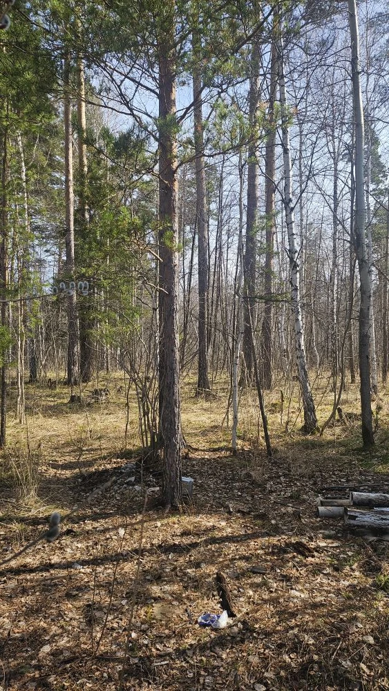 Незапланированно сегодня телепортировались на дачу 😄