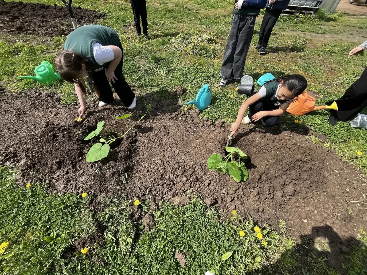 🌾 Огородные чудеса в Марковской школе! 🌾  Ученики 1‑го и 3‑го классов взялись за лопаты — и вуаля! ✨