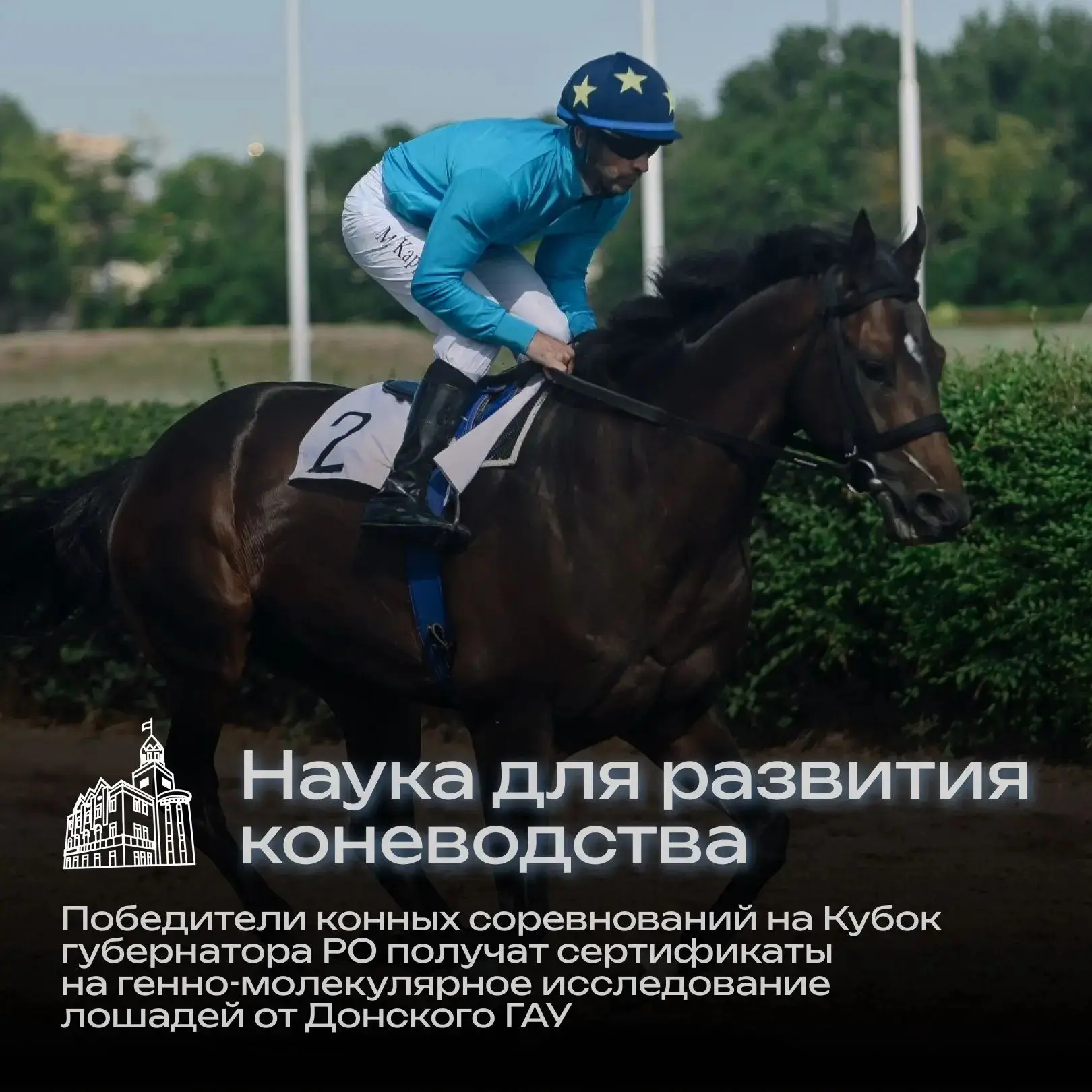 Донской ГАУ поддержит победителей скачек на Ростовском ипподроме 🐎