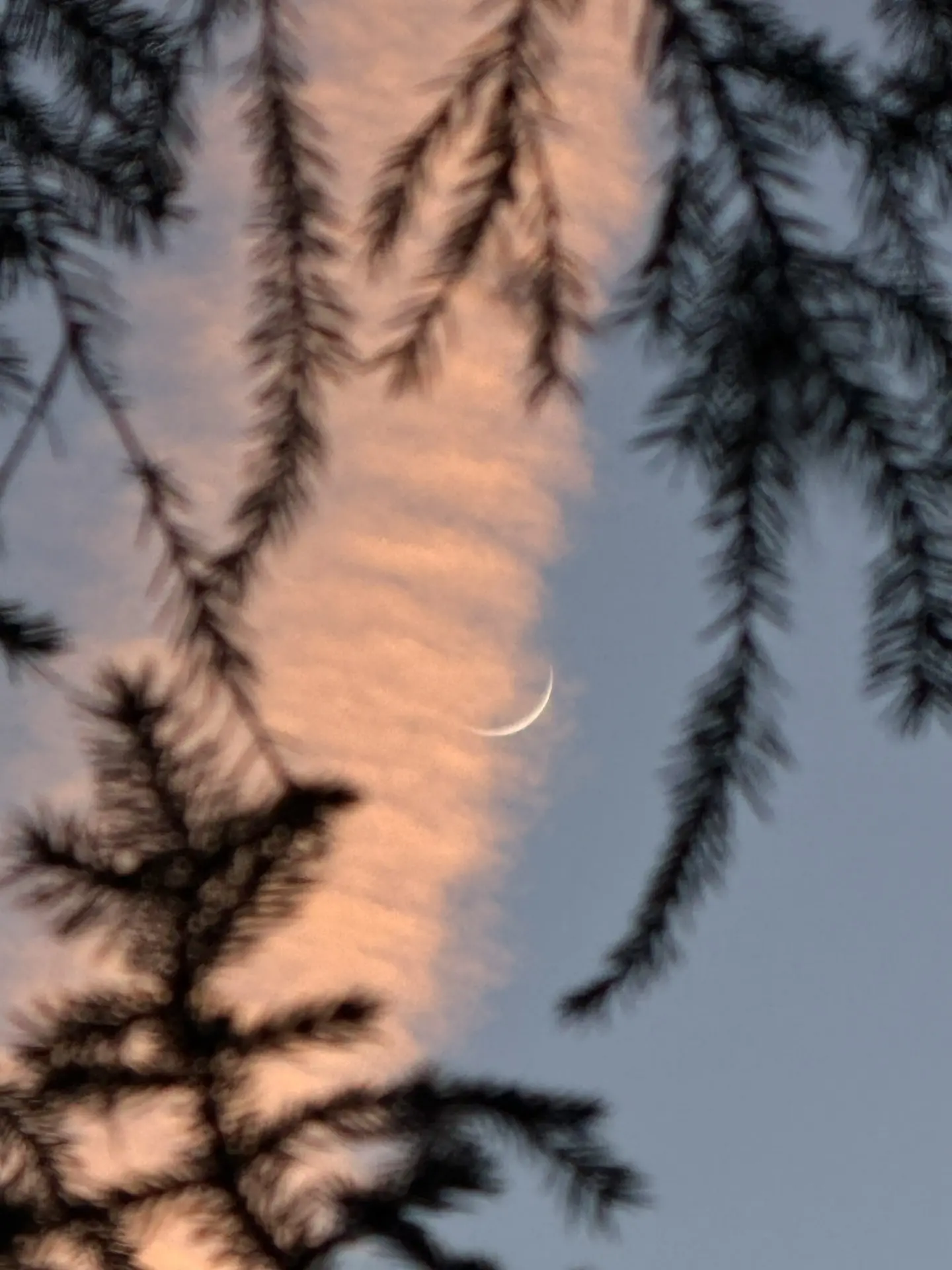 🌙Тонкий месяц в небе серебрится.