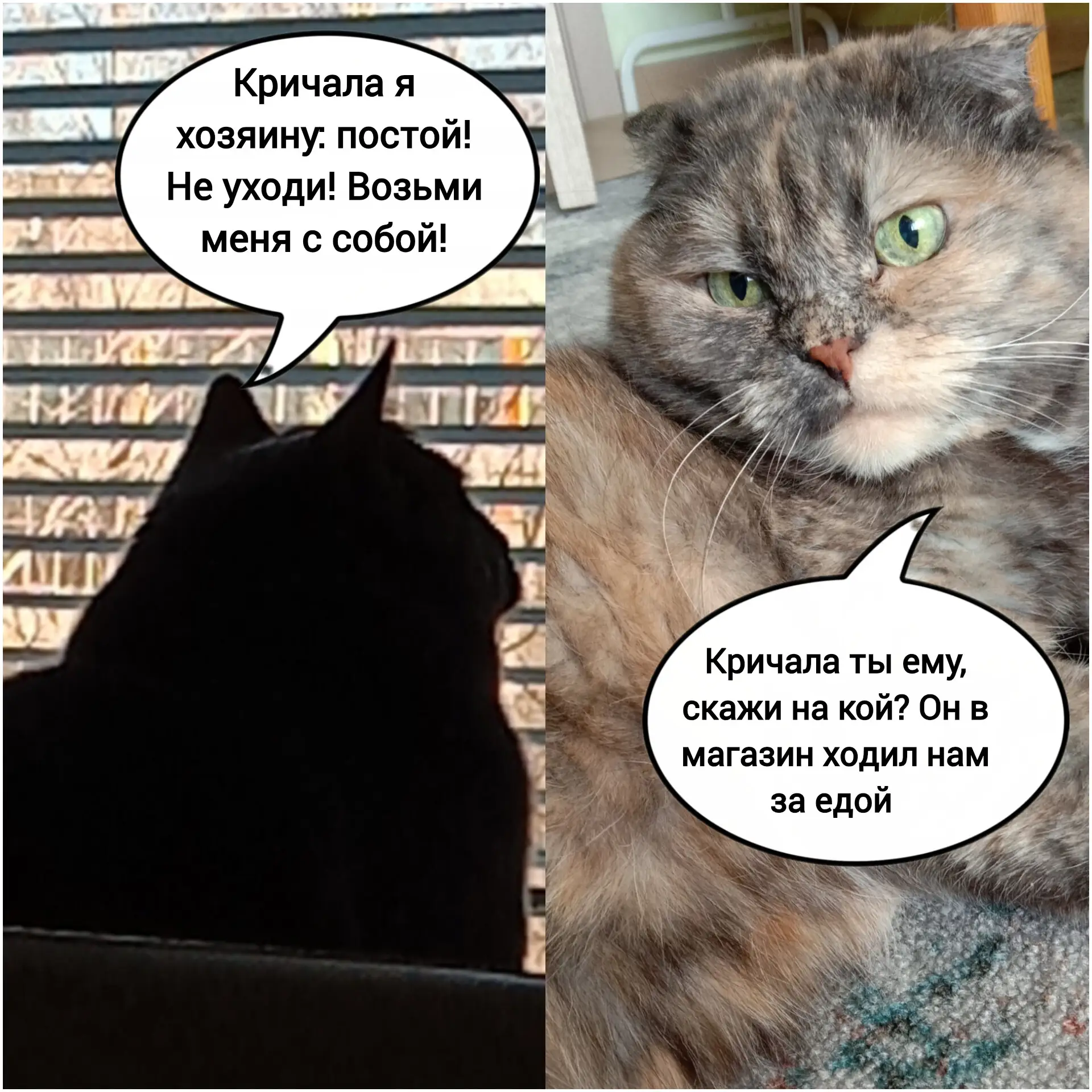 Спокойствие, только спокойствие:)