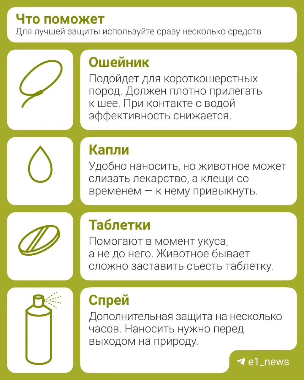 Теплая погода — время прогулок и... клещей. Будьте внимательны: последние присасываются не только к 