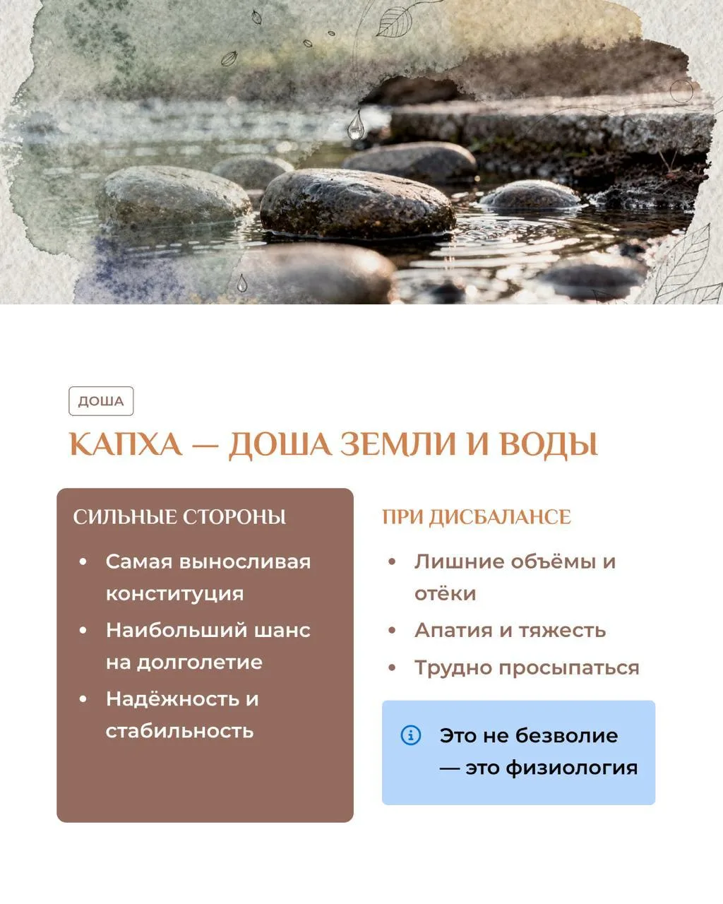 «У меня нет силы воли» - 588 человек написали именно это в анкете. Это не правда. Вот что происходит