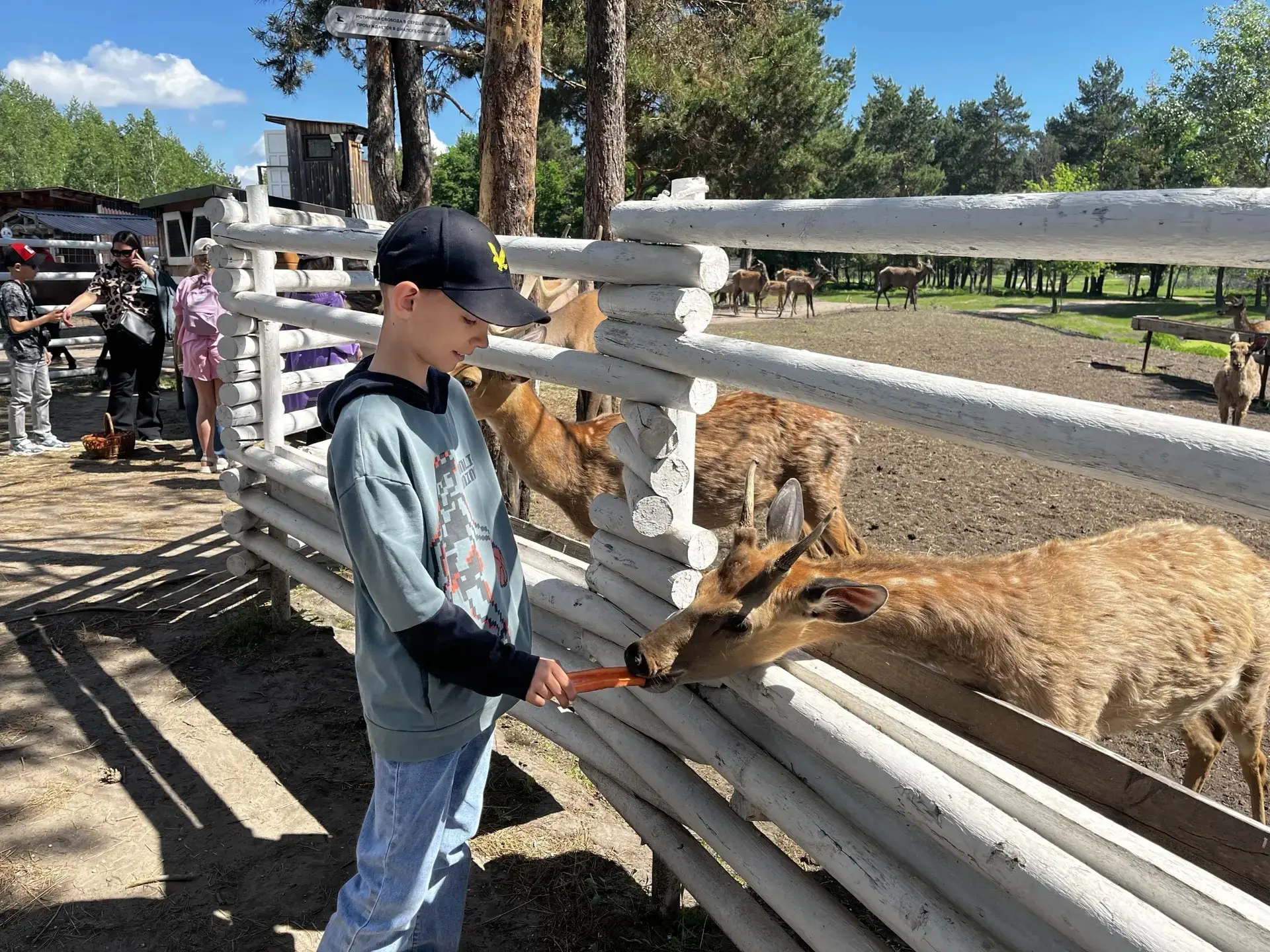 🦌Путешествие 3В класса в сафари‑парк «Кречет»☀️  😊25 мая обучающиеся  3В класса отправились в увлека