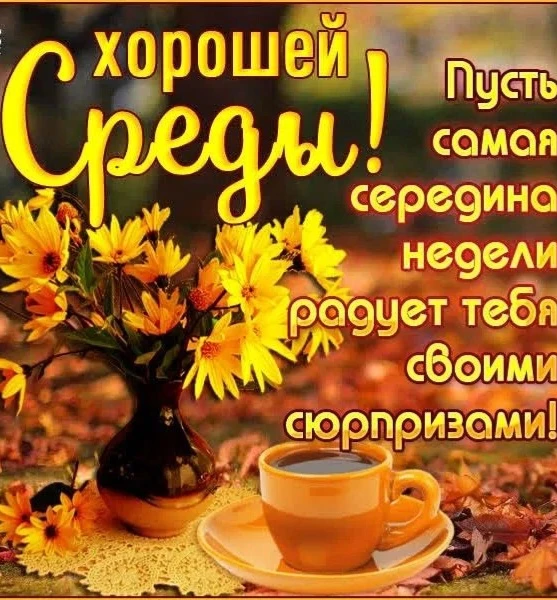 Всем доброе утро! Погода сегодня +20🌞🌞🌞🌞🌞в ночные часы до +4. Вам всем хорошего дн...