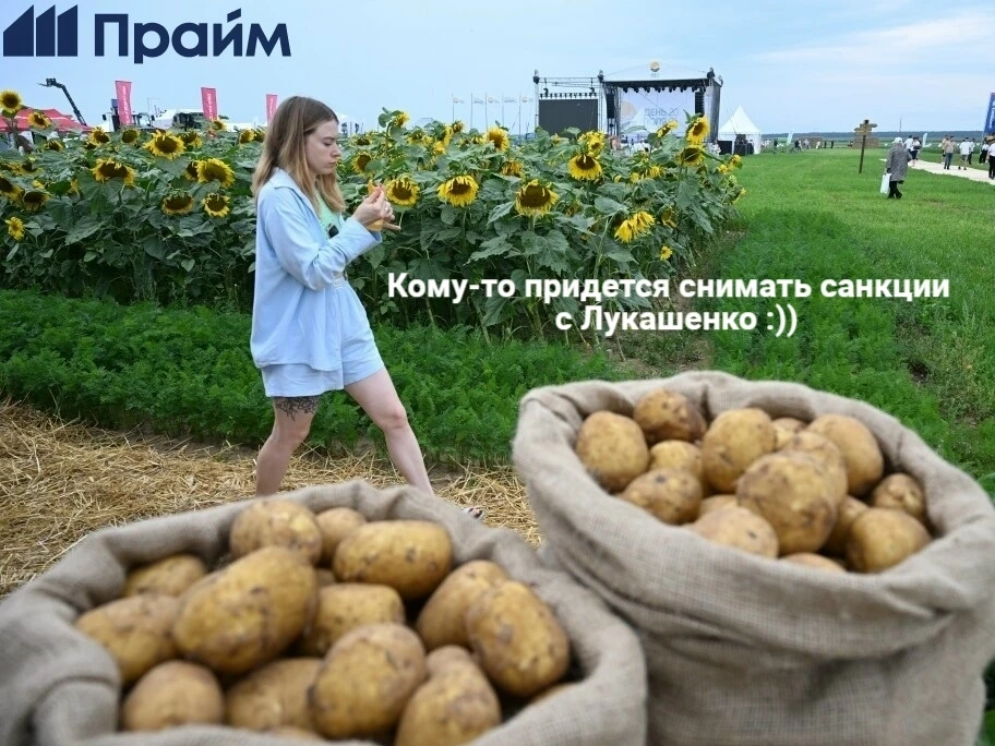 🥔 Европе предрекли дефицит картофеля и рост цен
