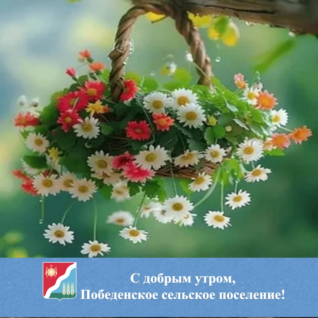 🌟 С добрым утром жители и гости Победенского сельского поселения!
 
🌹Хорошей пятницы! Отличного на