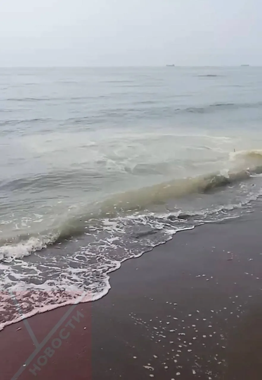Необычный цвет воды у побережья Углегорска прокомментировал местный старожил