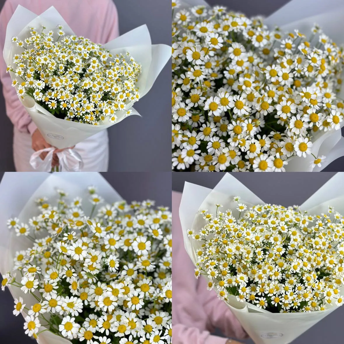 Порадуйте себя и близких букетом чудесных кустовых ромашек🌼