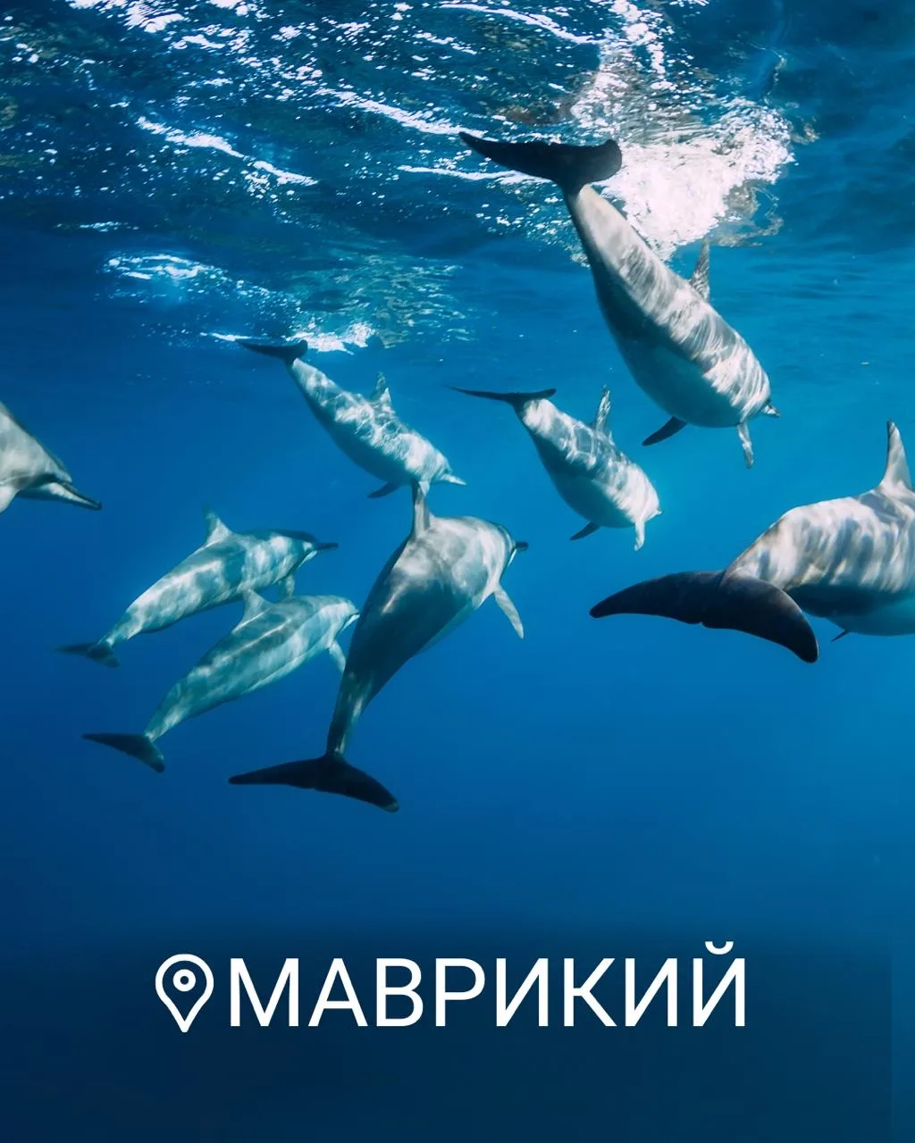 Билет в то самое «райское наслаждение»