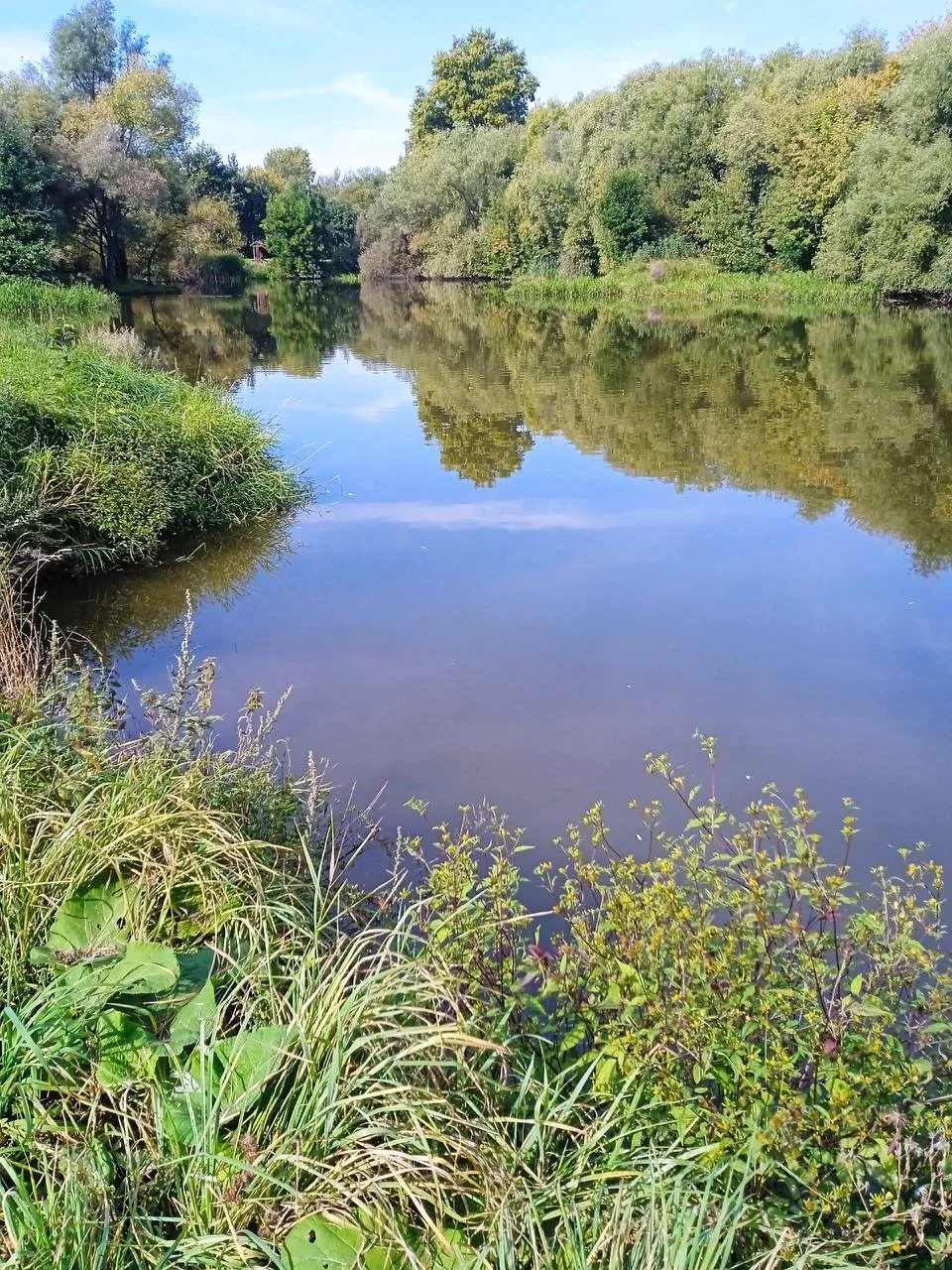 Прогулка в пойме Городни 🌿