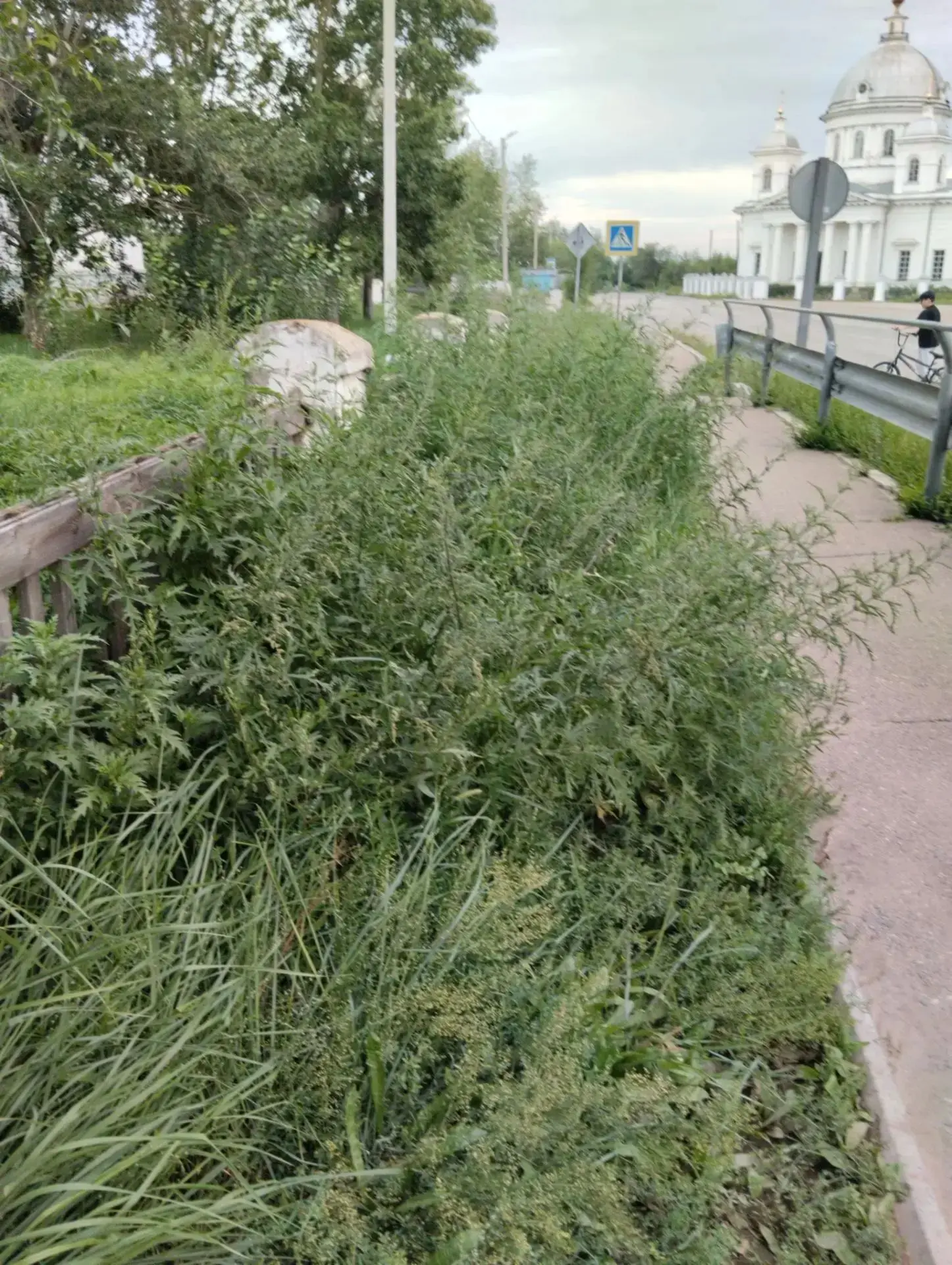 🔃Обратная связь