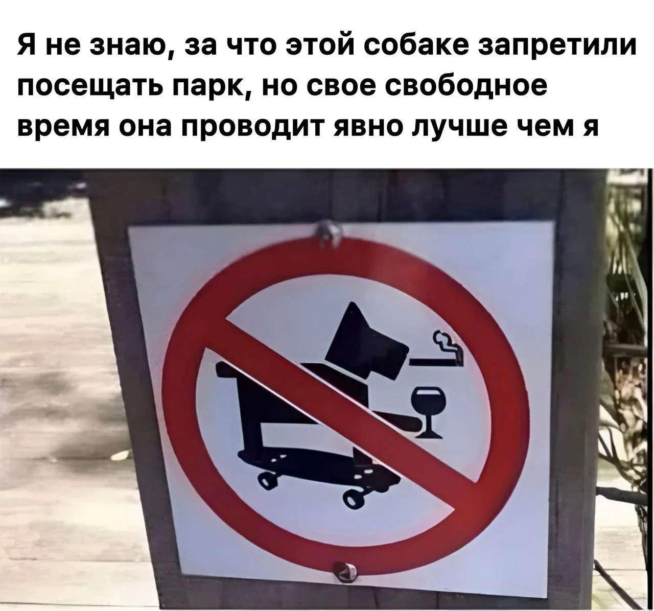 Перекрытия, бесплатные шаттлы и «сухой закон»: как изменится жизнь казанцев из-за матча...