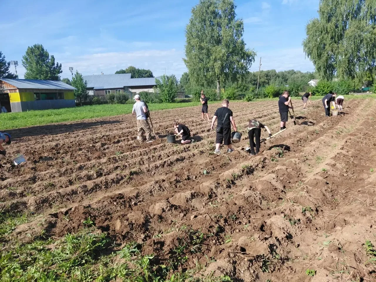 🥔Урожай картофеля 🪣