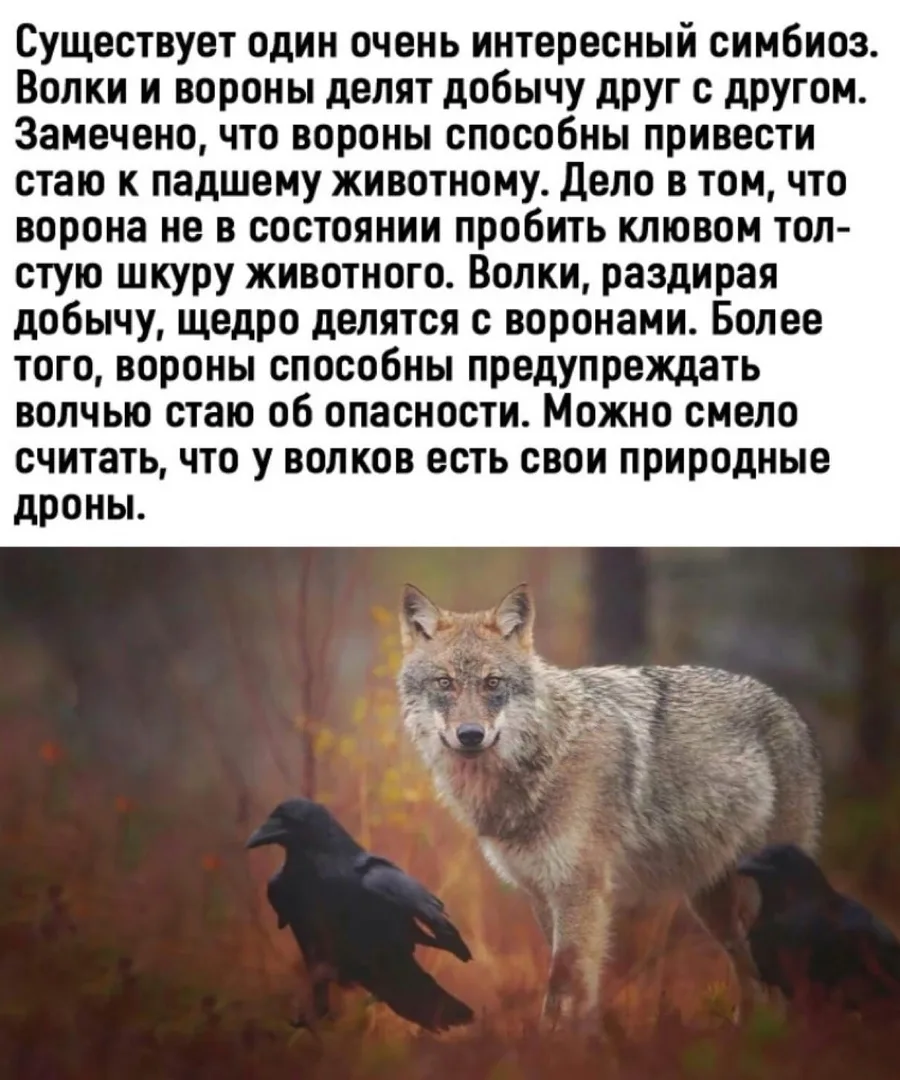 ____________________
Помощь со всеми видами работ

👉Заказать помощь в MAX
👉Заказать помощь в Teleg