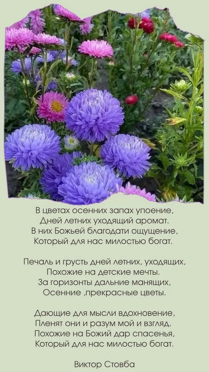 Вот ещё стихи.