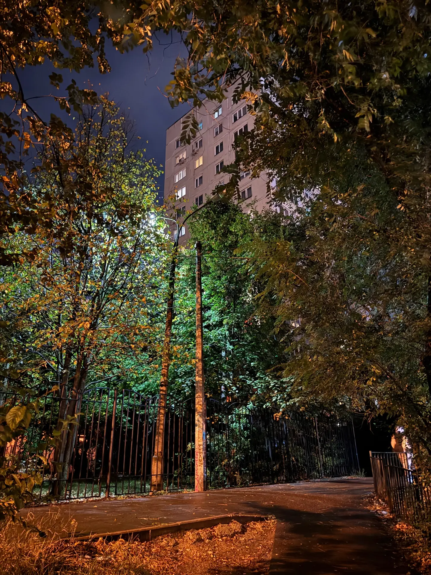 💡 В Жуковском попросили перенаправить освещение на тротуар