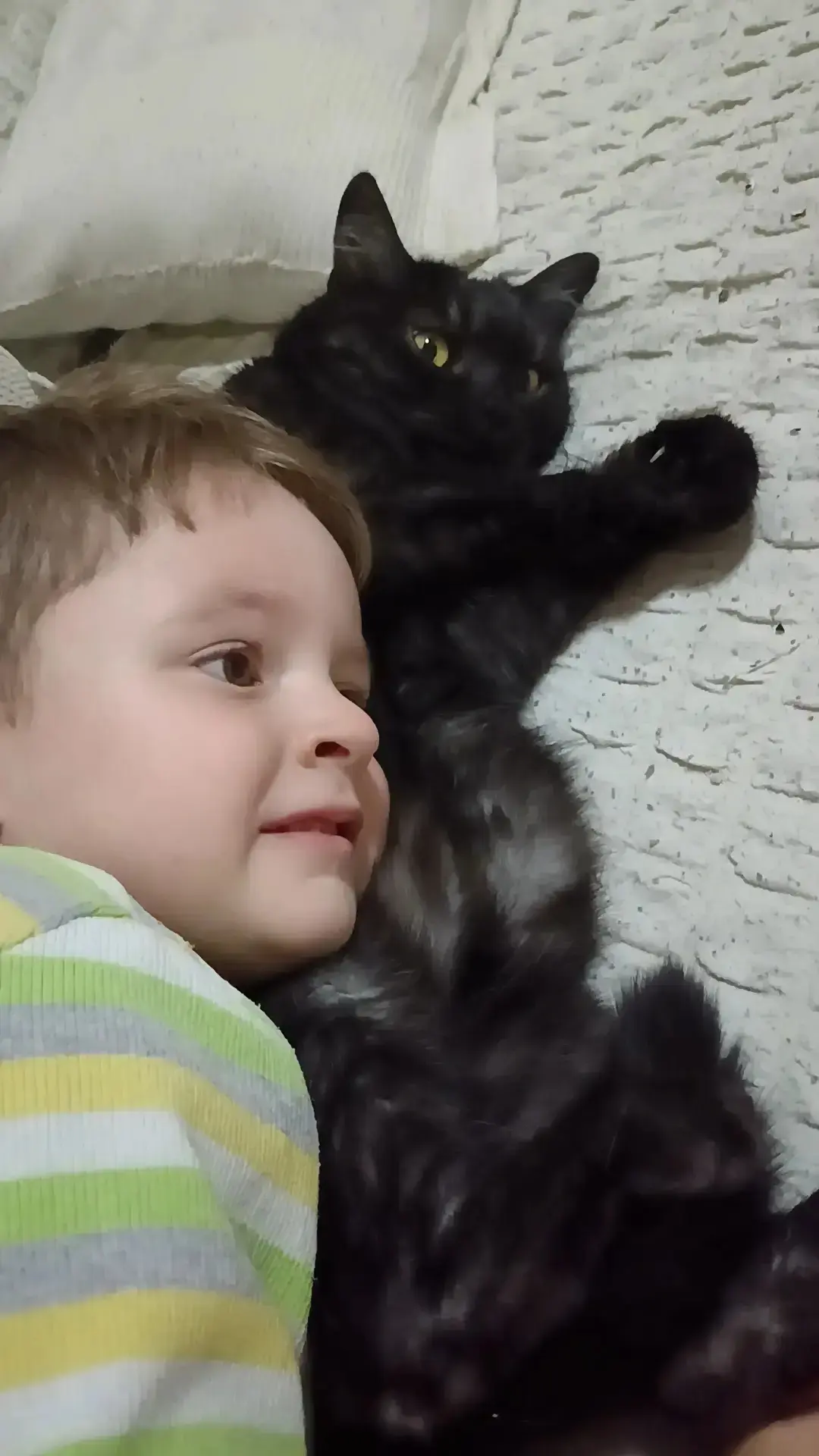 Сегодня день обьятий с кошками отмечается в младшей группе ''Ромашки''. Как же встретить этот праздн