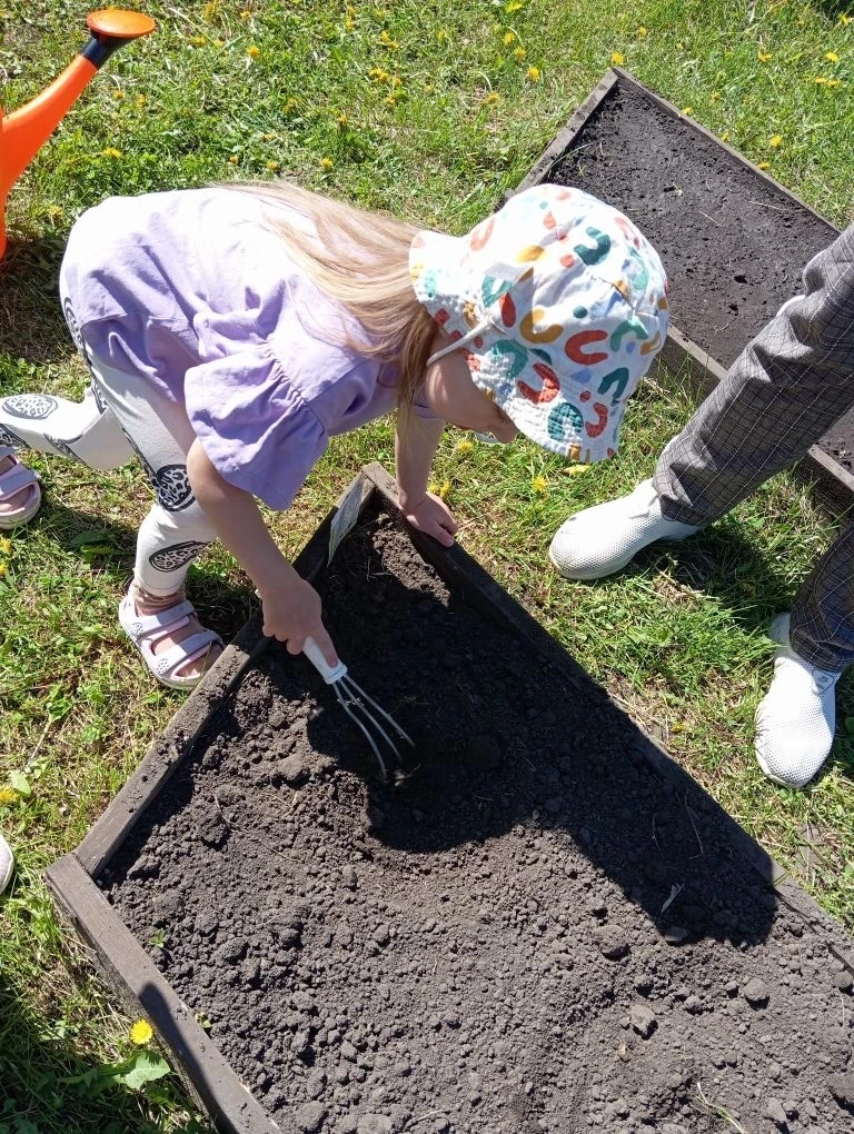 💚Наши дошколята посадили огород! 

🥕🧅В нашем детском саду кипит работа: наши юные агрономы взялис