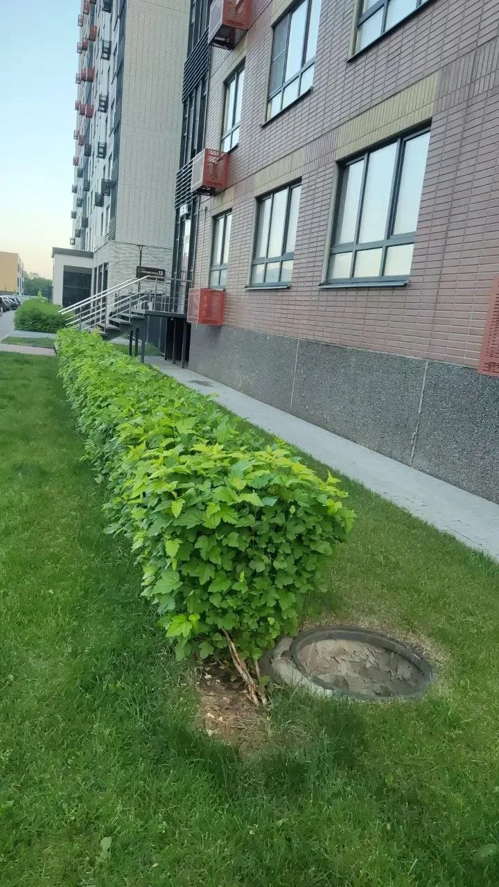 На углу 13/2, со стороны 5 подъезда ,открыт люк рядом с водоматом! Будьте осторожны ⚠️