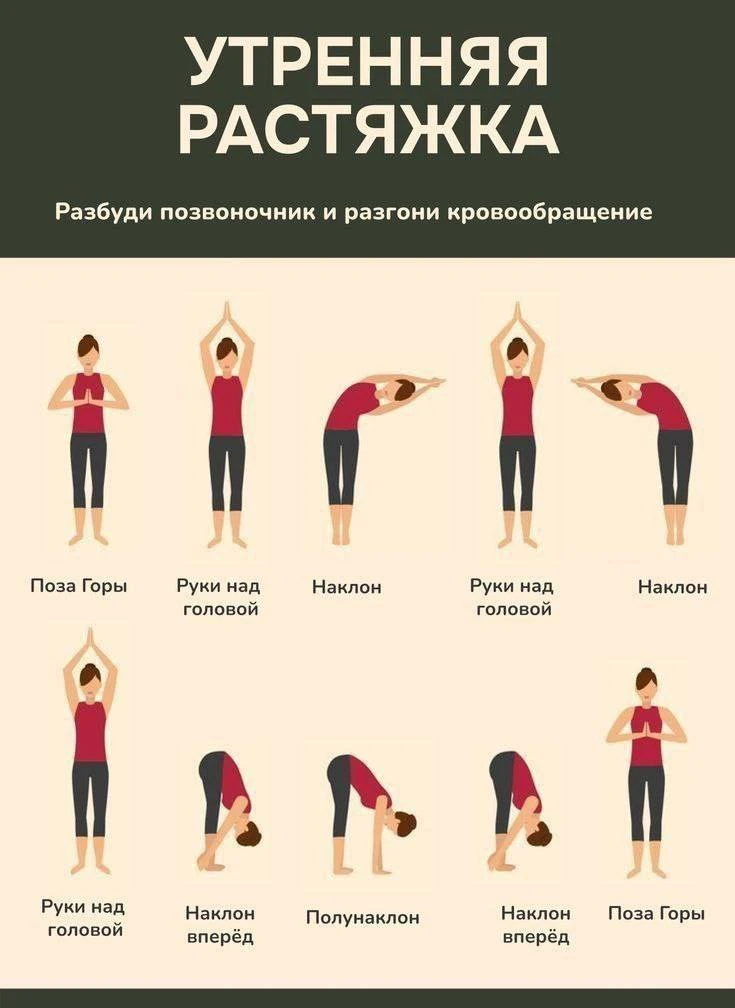 Изображение 1 к публикации «Гимнастика на каждый день»