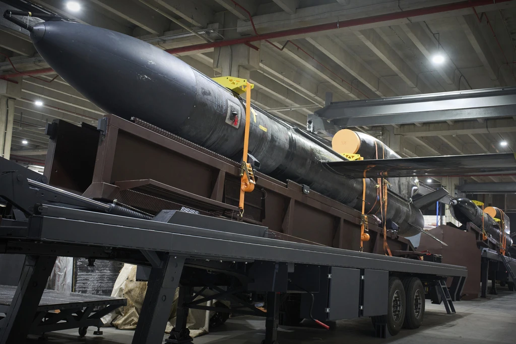 Немецкая Diehl Defence хочет перенести производство украинских ракет «Фламинго» в Германию.

Ну, как