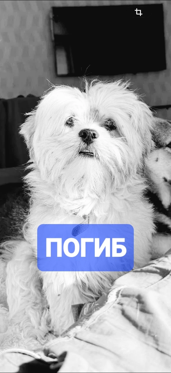 Очень жаль...
