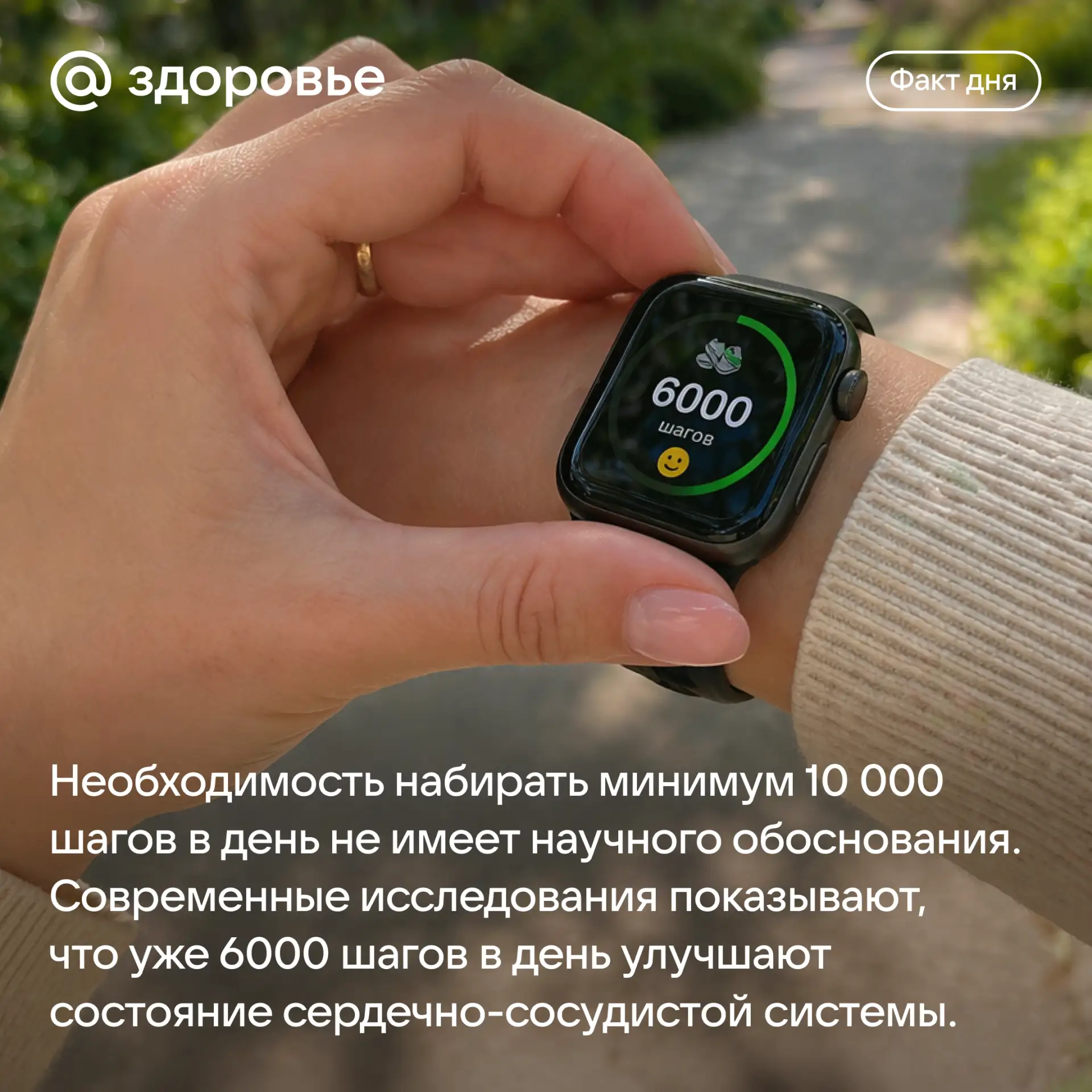 Хорошего дня! 🤗