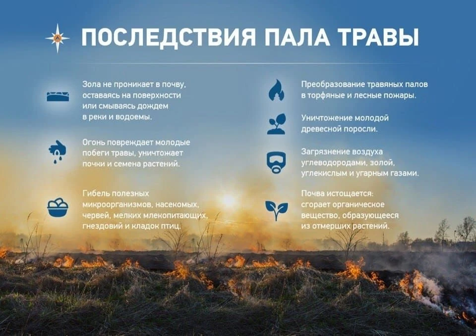 Пал сухой травы. Почему это опасно и к чему может привести?Наступила весна, а значит, п...