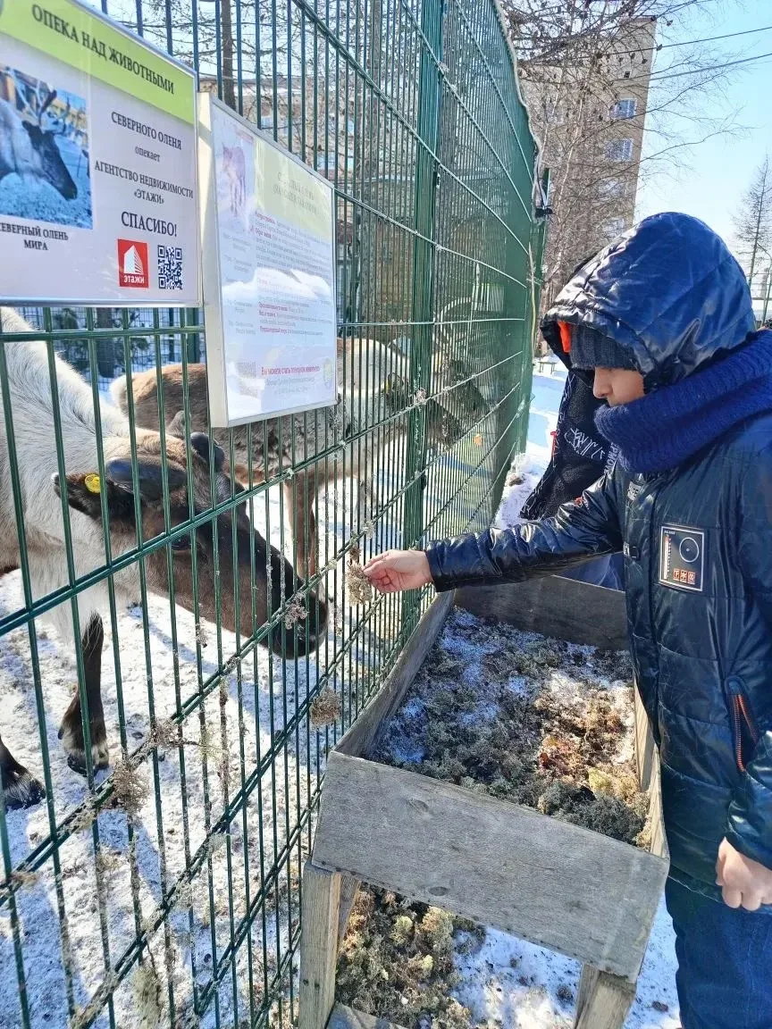 🌿 Экодиктант на Детской экологической станции: учимся заботиться о природе! 🌍  Сегодня ученики 6 Е к