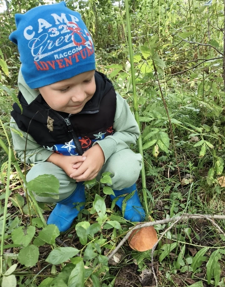 ☕🍄‍🟫🫐 Лето пахнет лесом, грибами и вареньем из ягод! 💛🌲