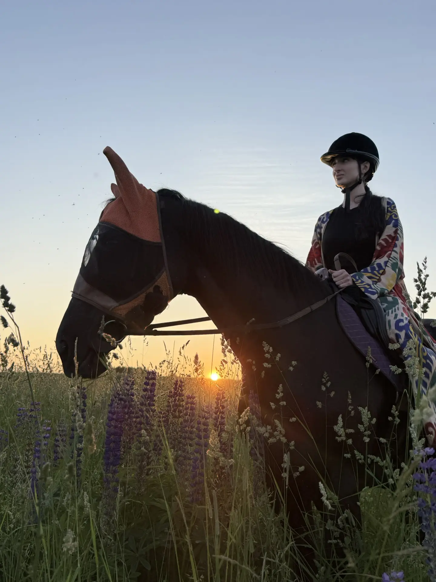 ловите фото и видева со вчерашней прогулки на лошадях🐎❤️