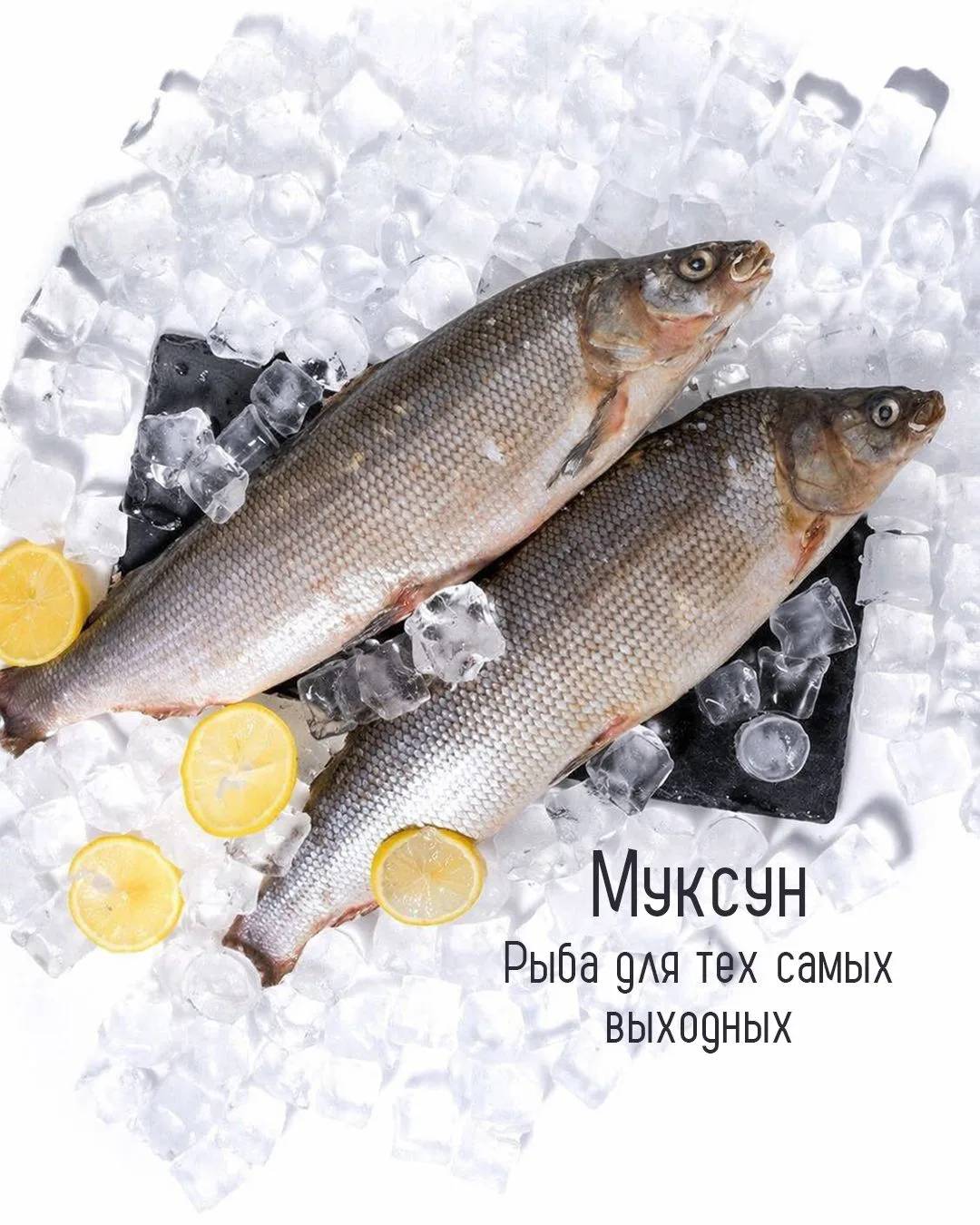 Муксун ✨ рыба для вкусных выходных
Одна из самых любимых северных рыб: нежная, благородная и очень в