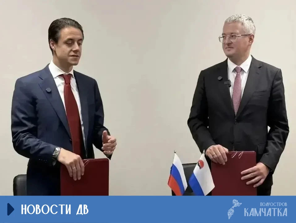 «Ведомости» и Камчатка объединят усилия для защиты дикой природы