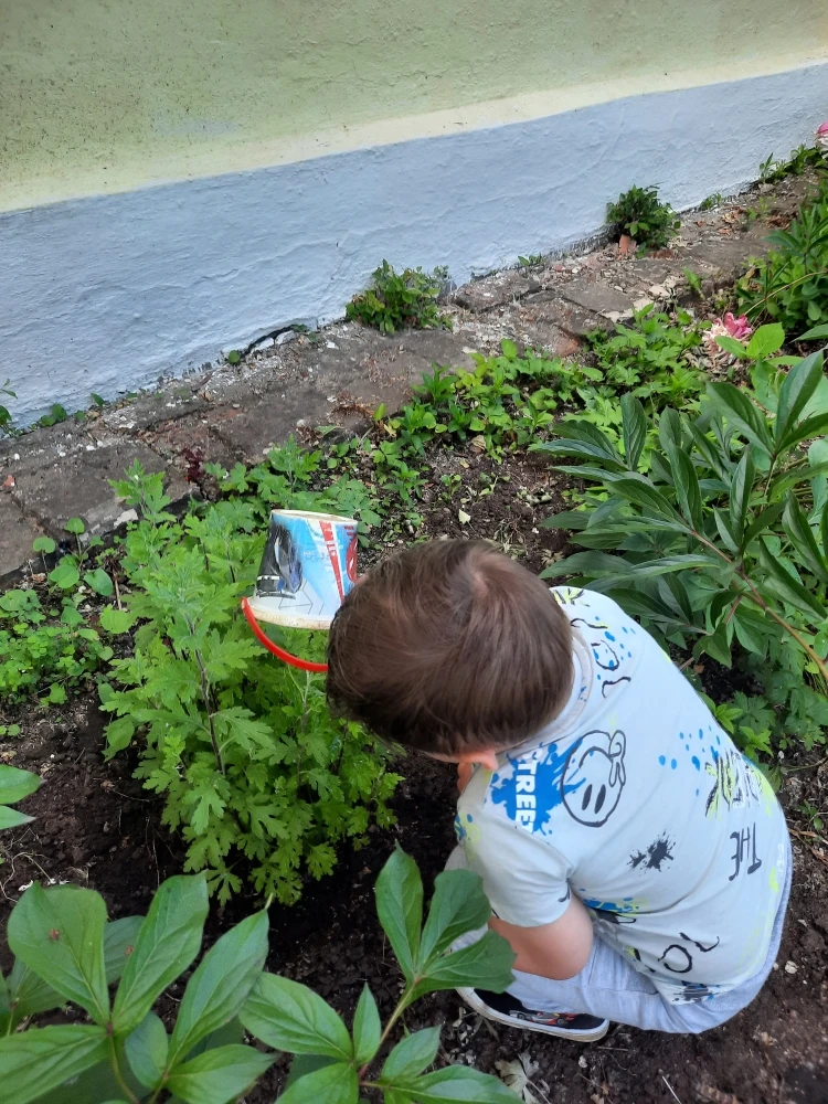 5 июня отмечается Всемирный день окружающей среды! 🌍🌱
    Главная цель этого праздника — привлечь 