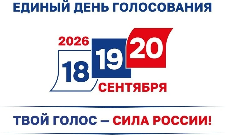 МОБИЛЬНЫЙ ИЗБИРАТЕЛЬ