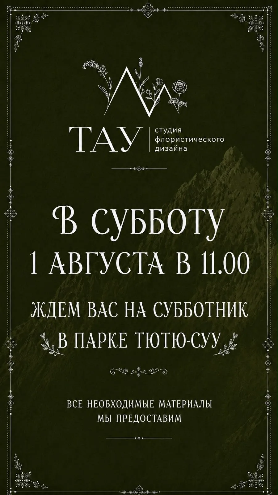 Медиа публикации