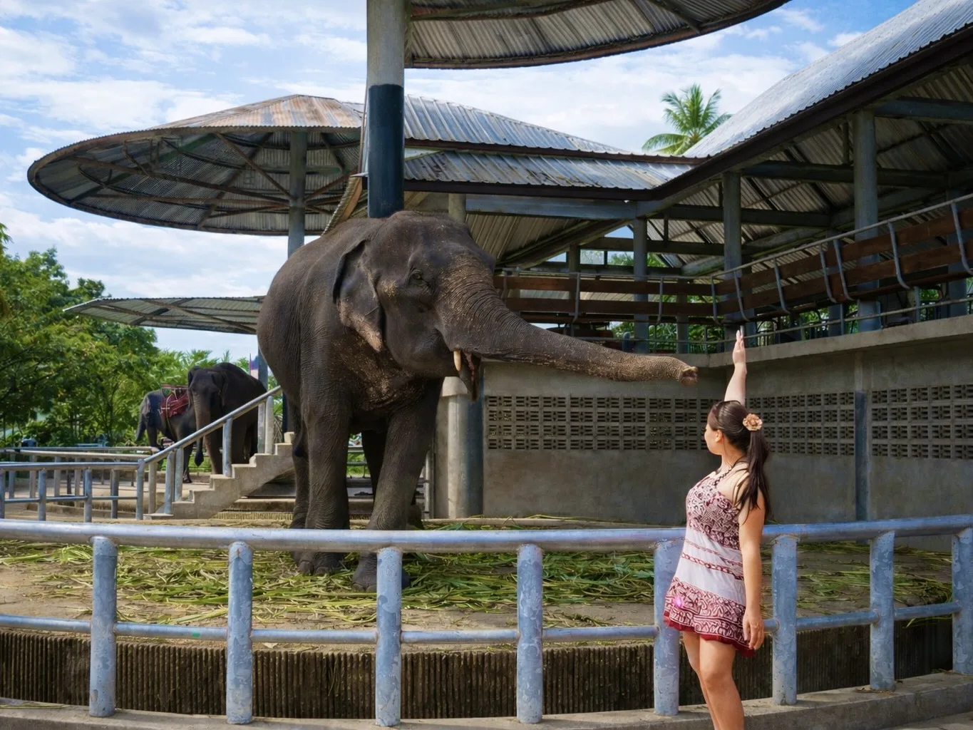 🇹🇭 За что я люблю Паттайю