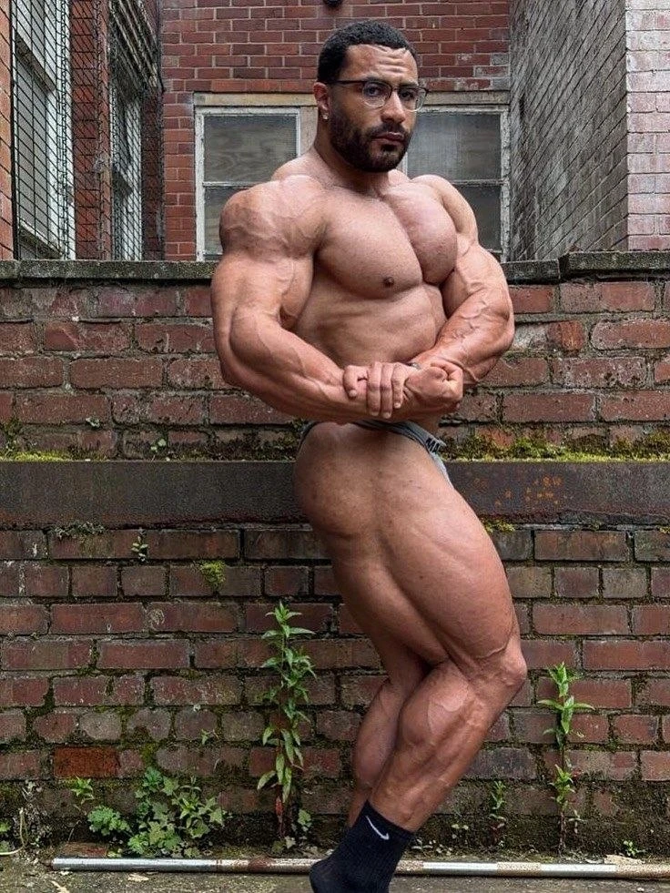 Ниалл Дарвен (категория "Classic Physique") за 14 недель до "Олимпии" 2026