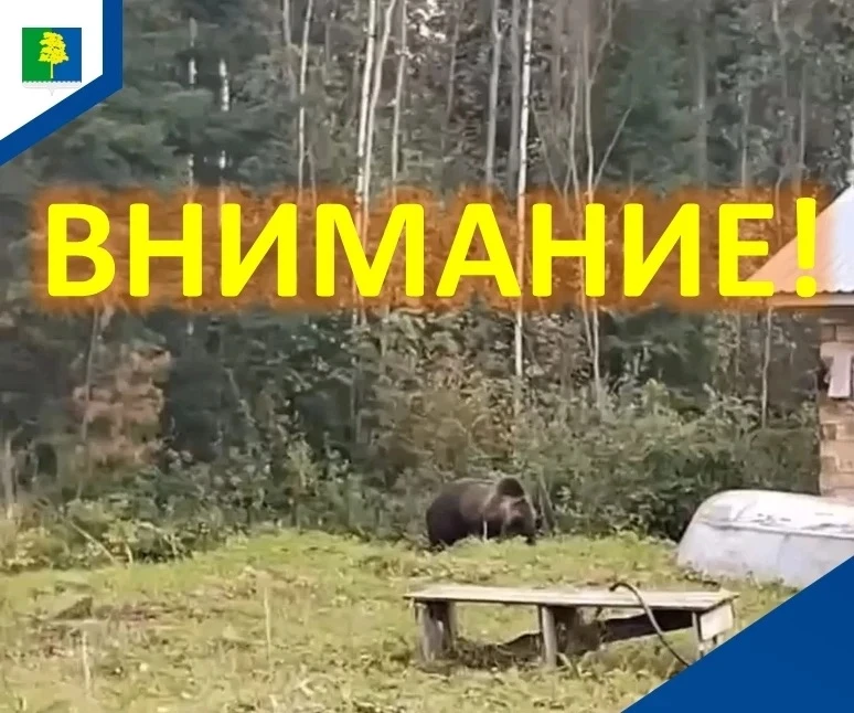 Вниманию жителей Междуреченского!
