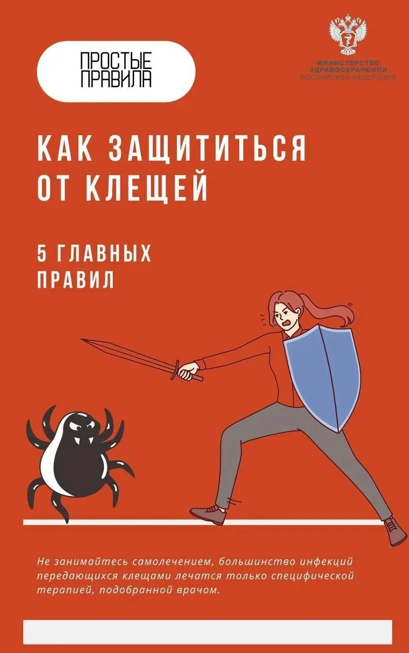 🌳 Простые правила защиты от клещей
